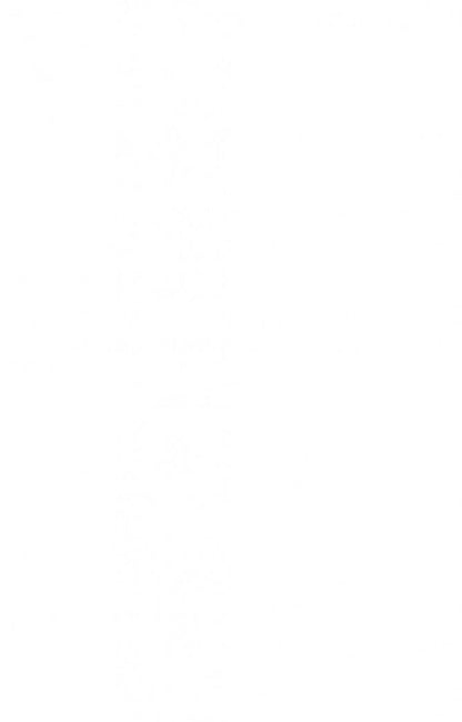 Фотография книги "Валия Цинк: Пенелопа и огненное чудо"