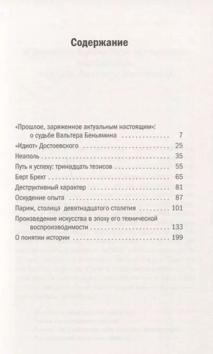 Фотография книги "Вальтер Беньямин: Девять работ"