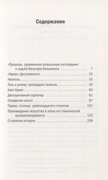 Фотография книги "Вальтер Беньямин: Девять работ"