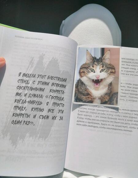 Фотография книги "Валя Карнавал: Здарова, бандиты! Мечтай и ничего не бойся"