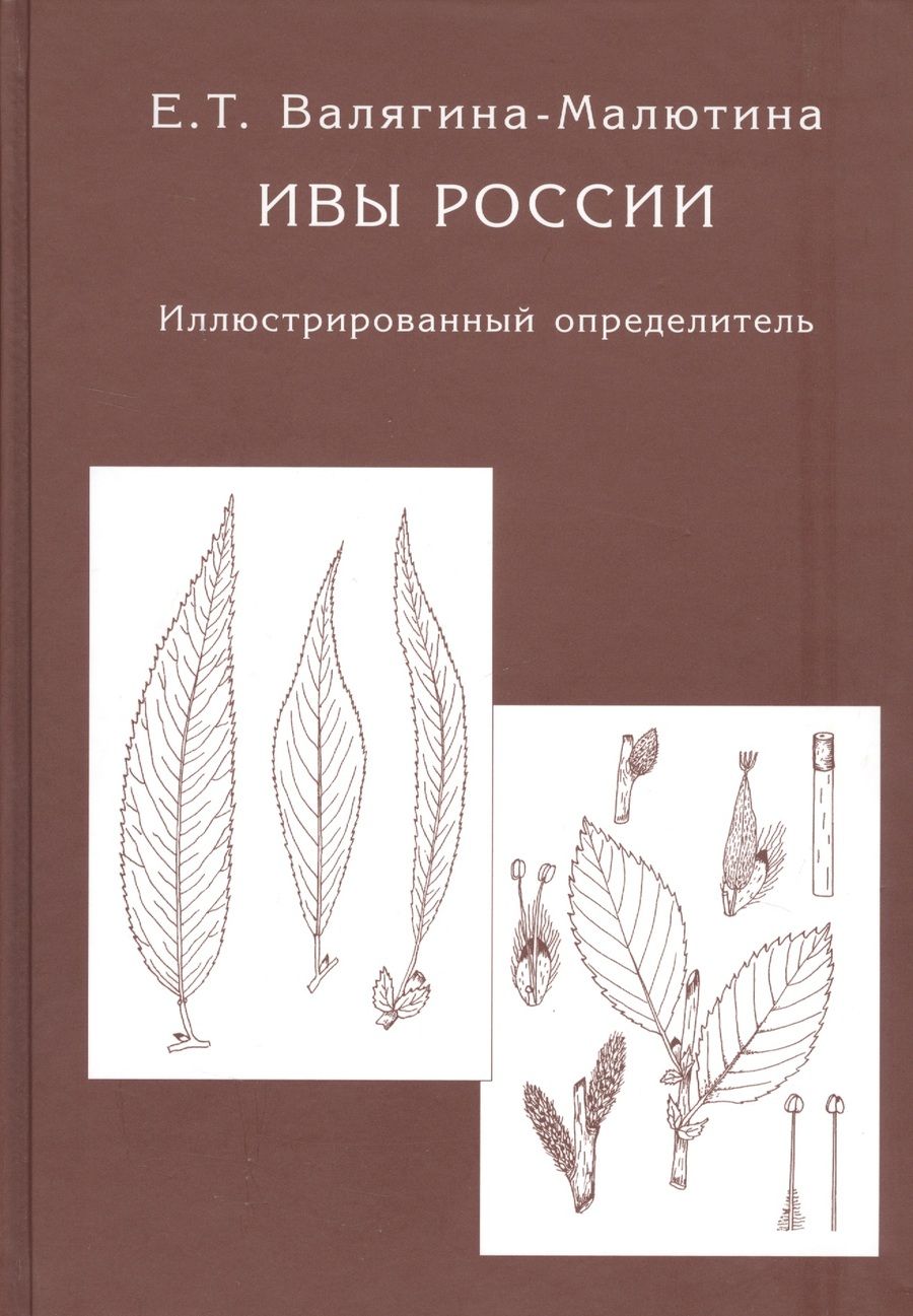 Обложка книги "Валягина-Малютина Евгения: Ивы России. Иллюстрированный определитель"