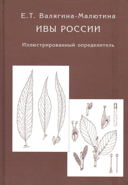 Обложка книги "Валягина-Малютина Евгения: Ивы России. Иллюстрированный определитель"
