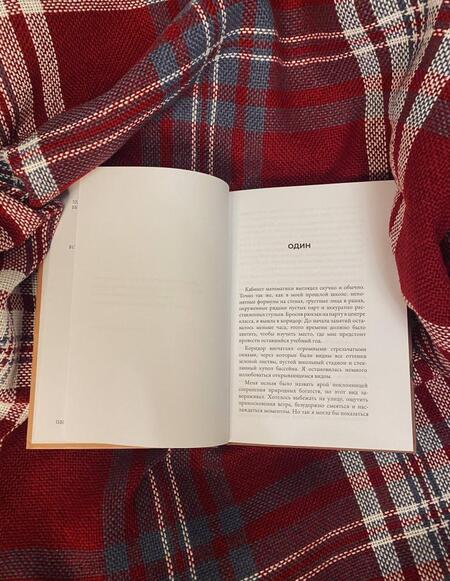 Фотография книги "Ван: Нормальное общество"