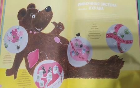 Фотография книги "Вандерхейден: Кости, мозг и всё остальное. Большая книга о том, как работает твоё тело"