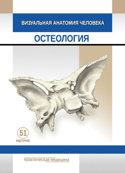 Обложка книги "Варенцов, Тимофеева: Визуальная анатомия человека. Остеология. Карточки, 51 штука"