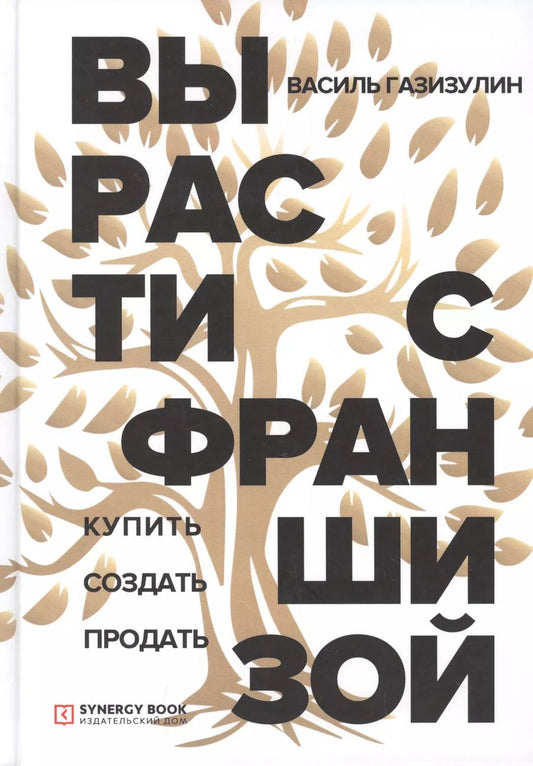 Обложка книги "Василь Газизулин: Вырасти с франшизой. Купить. Создать. Продать"