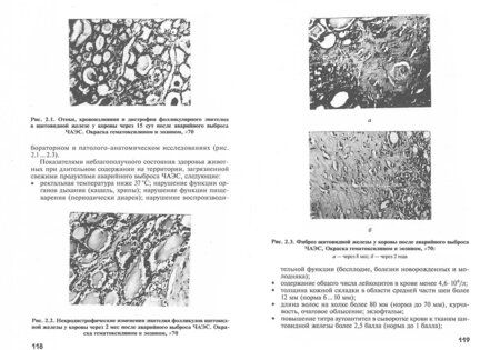 Фотография книги "Васильев, Бударков, Зенкин: Радиобиология. Радиационная безопасность сельскохозяйственных животных"