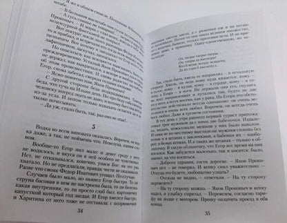 Фотография книги "Васильев: Не стреляйте в белых лебедей"