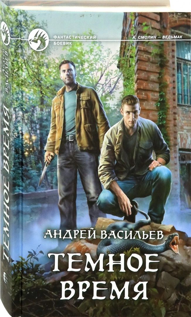 Обложка книги "Васильев: Темное время"