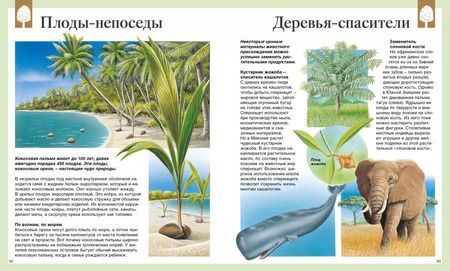 Фотография книги "Васильева, Амченков: Детская энциклопедия. 250 чудес света"