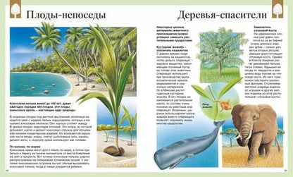 Фотография книги "Васильева, Амченков: Детская энциклопедия. 250 чудес света"