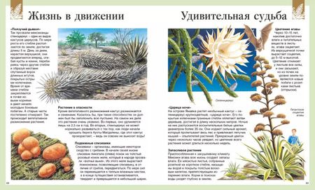 Фотография книги "Васильева, Амченков: Детская энциклопедия. 250 чудес света"