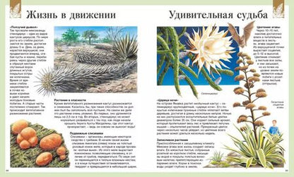 Фотография книги "Васильева, Амченков: Детская энциклопедия. 250 чудес света"