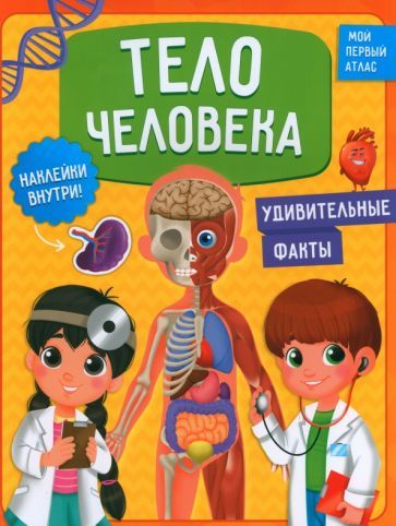 Обложка книги "Васильева, Зленко: Тело человека. Мой первый атлас с наклейками"