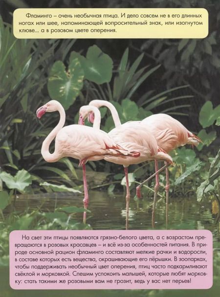 Фотография книги "Василий Аверкиев: Зачем светлячку фонарик?"