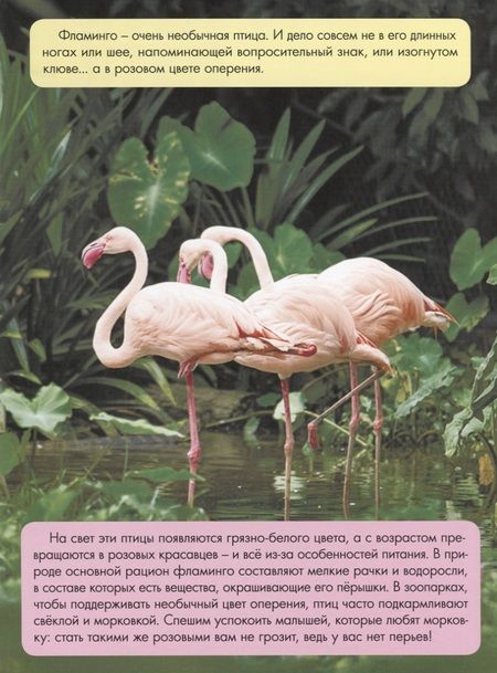 Фотография книги "Василий Аверкиев: Зачем светлячку фонарик?"
