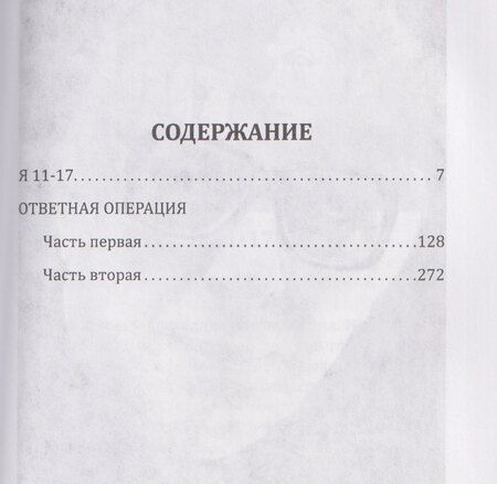 Фотография книги "Василий Иванович: Я 11-17. Ответная операция"