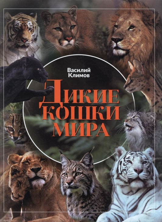 Обложка книги "Василий Климов: Дикие кошки мира"
