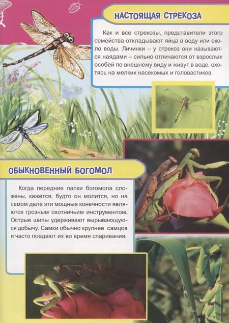 Фотография книги "Василий Климов: Насекомые, рыбы и рептилии Европы"