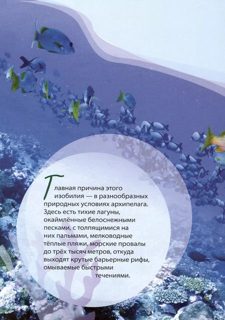 Фотография книги "Василий Климов: Очарованные Мальдивы. Приключения рака-отшельника"