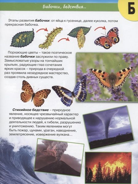 Фотография книги "Василий Климов: Планета Земля от А до Я"