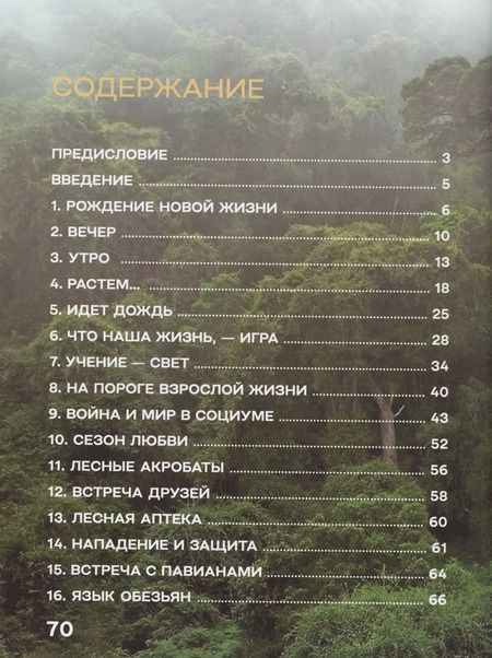 Фотография книги "Василий Климов: Жизнь и приключения шимпанзе в тропическом лесу"
