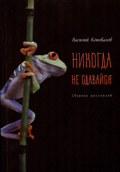 Обложка книги "Василий Коновалов: Никогда не сдавайся"