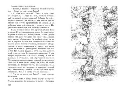 Фотография книги "Василий Немирович-Данченко: Сам себе помогай"