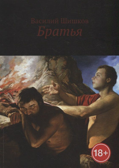 Обложка книги "Василий Шишков: Братья"