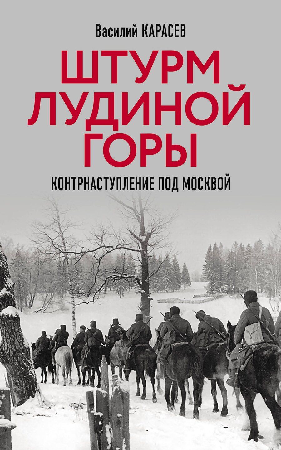 Обложка книги "Василий Степанович: Штурм Лудиной горы. Контрнаступление под Москвой"