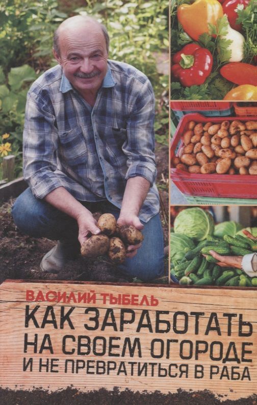 Обложка книги "Василий Тыбель: Как заработать на своем огороде и не превратиться в раба"