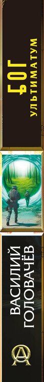 Фотография книги "Василий Васильевич: Блуждающая Огневая Группа (БОГ): Ультиматум"