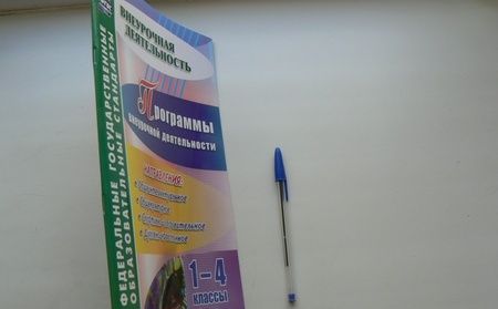 Фотография книги "Васюкова, Шаповалова: Программы внеурочной деятельности. 1-4 классы. ФГОС"