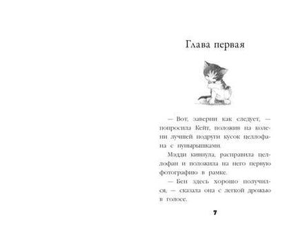 Фотография книги "Вебб: Котёнок Пуговка, или Храбрость в награду"