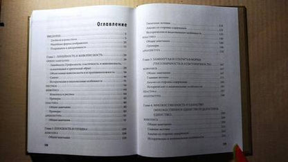 Фотография книги "Вельфлин: Основные понятия истории искусства с комментариями"