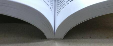 Фотография книги "Веллер: Легенды Невского проспекта"