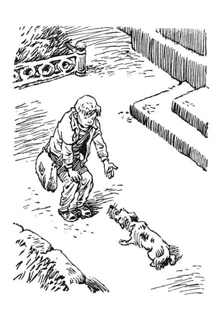 Фотография книги "Велтистов: Приключения Электроника"