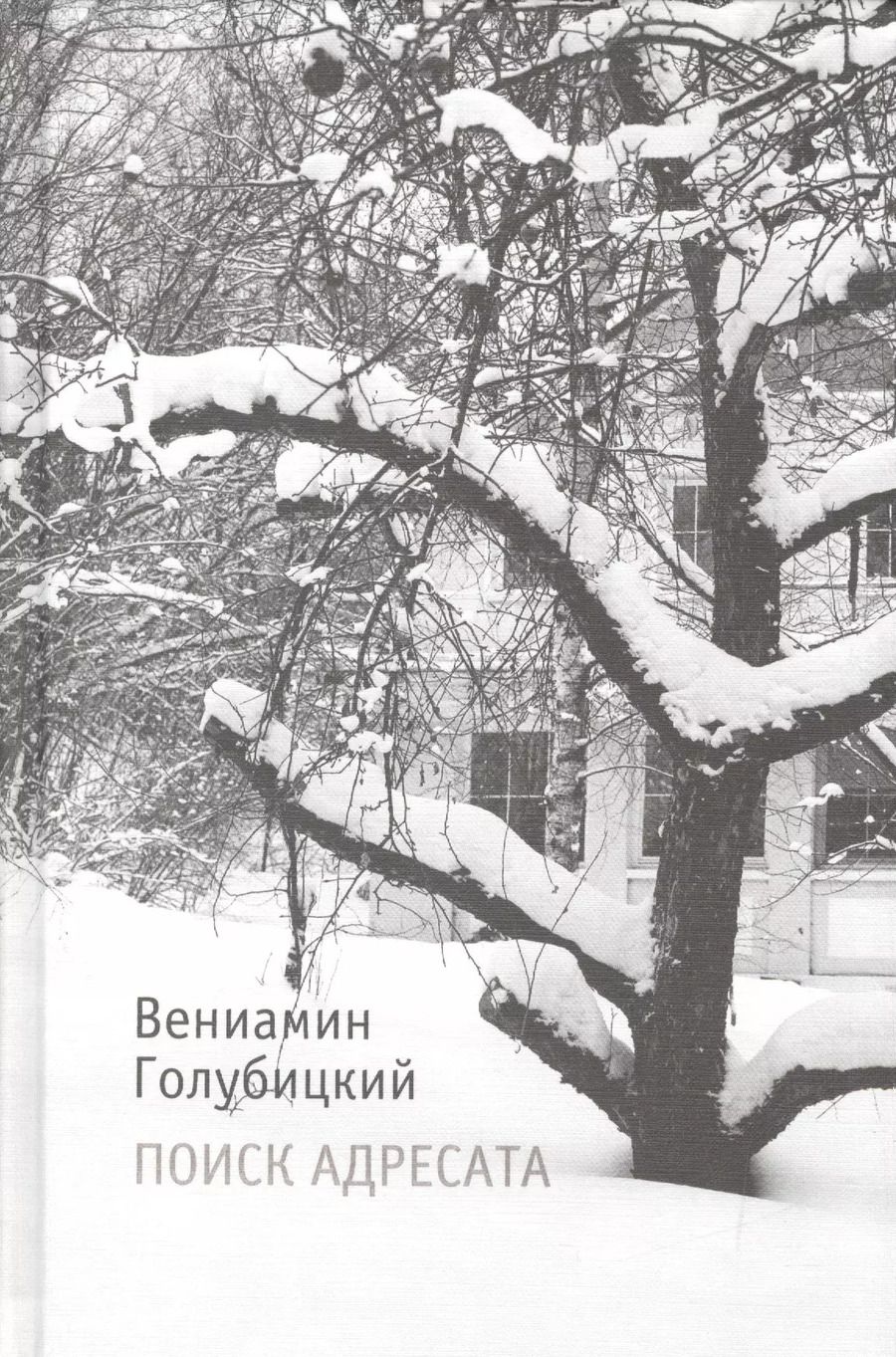 Обложка книги "Вениамин Голубицкий: Поиск адресата: Стихи"