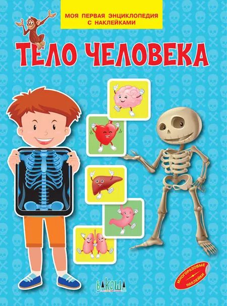 Обложка книги "Вениамин Шехтман: Тело человека"