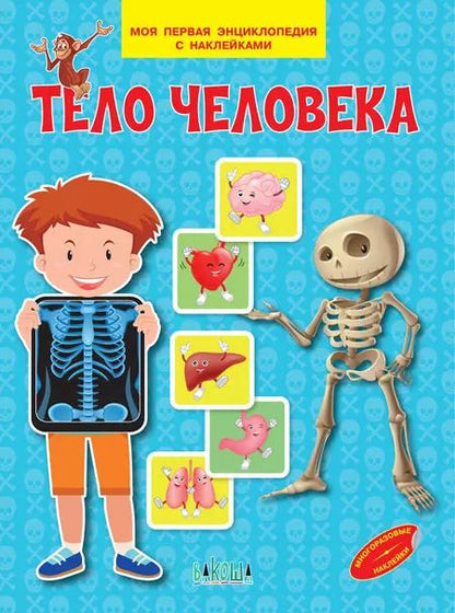 Обложка книги "Вениамин Шехтман: Тело человека"