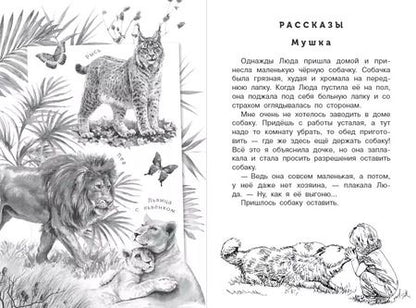 Фотография книги "Вера Чаплина: Четвероногие друзья"