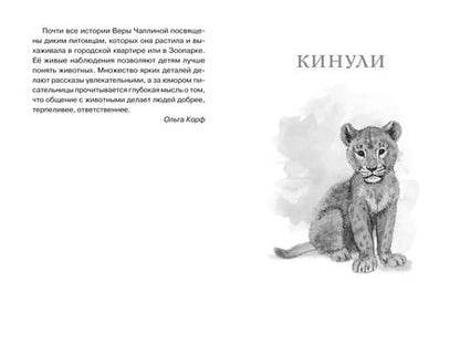 Фотография книги "Вера Чаплина: Фомка - белый медвежонок"