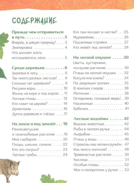 Фотография книги "Вернзинг: Энциклопедия для детского сада: животные птицы растения"