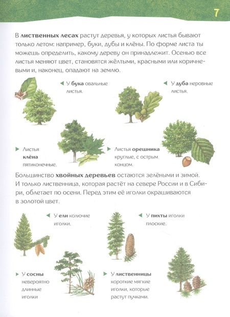 Фотография книги "Вернзинг: Энциклопедия для детского сада: животные птицы растения"