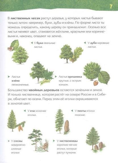 Фотография книги "Вернзинг: Энциклопедия для детского сада: животные птицы растения"