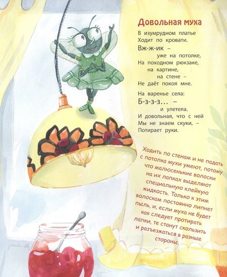 Фотография книги "Весова: Букашки в кармашке"