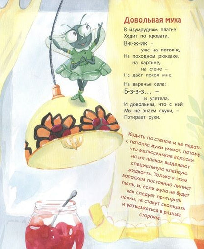 Фотография книги "Весова: Букашки в кармашке"