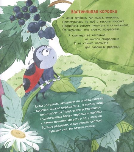 Фотография книги "Весова: Букашки в кармашке"