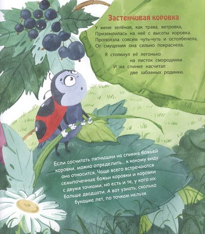 Фотография книги "Весова: Букашки в кармашке"