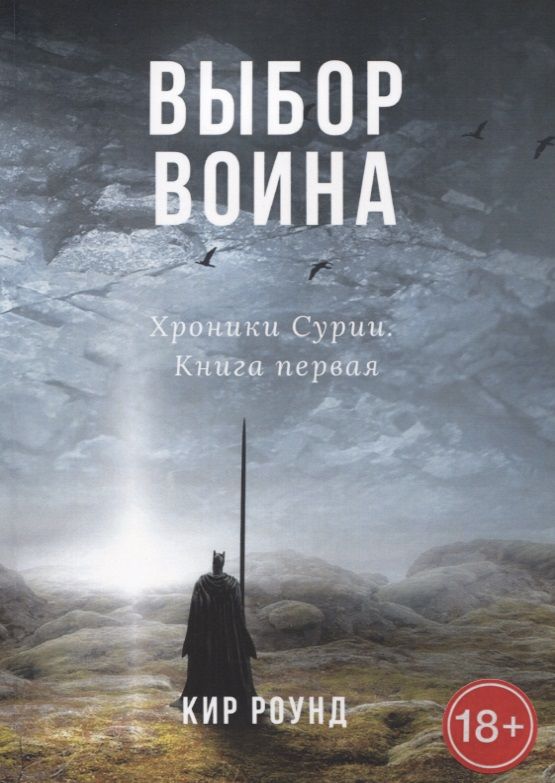 Обложка книги "Выбор воина. Хроники Сурии. Книга первая"
